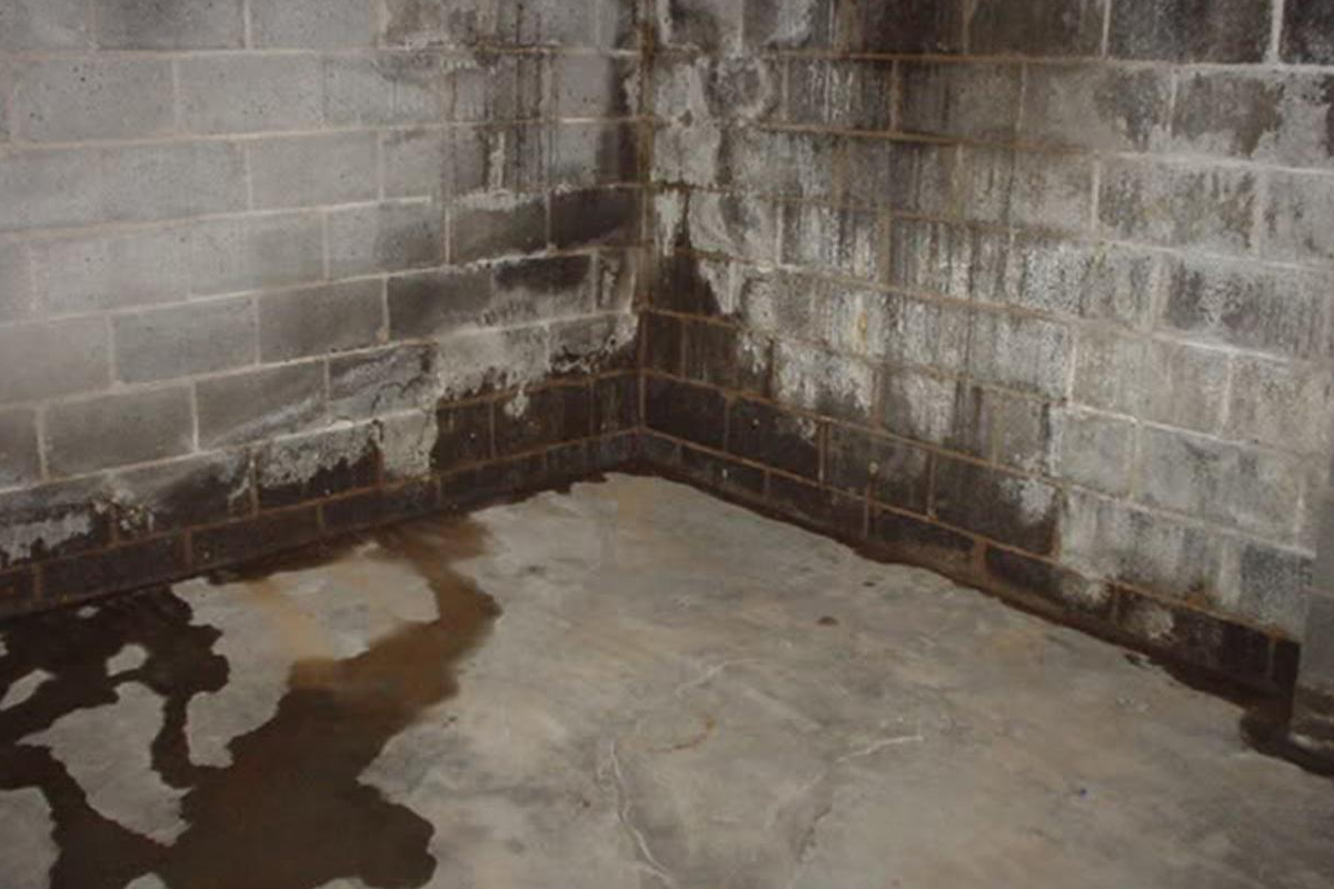 Why Do Toronto Homeowners need to pay more attention to their Basement Leaks and Waterproofing Situation