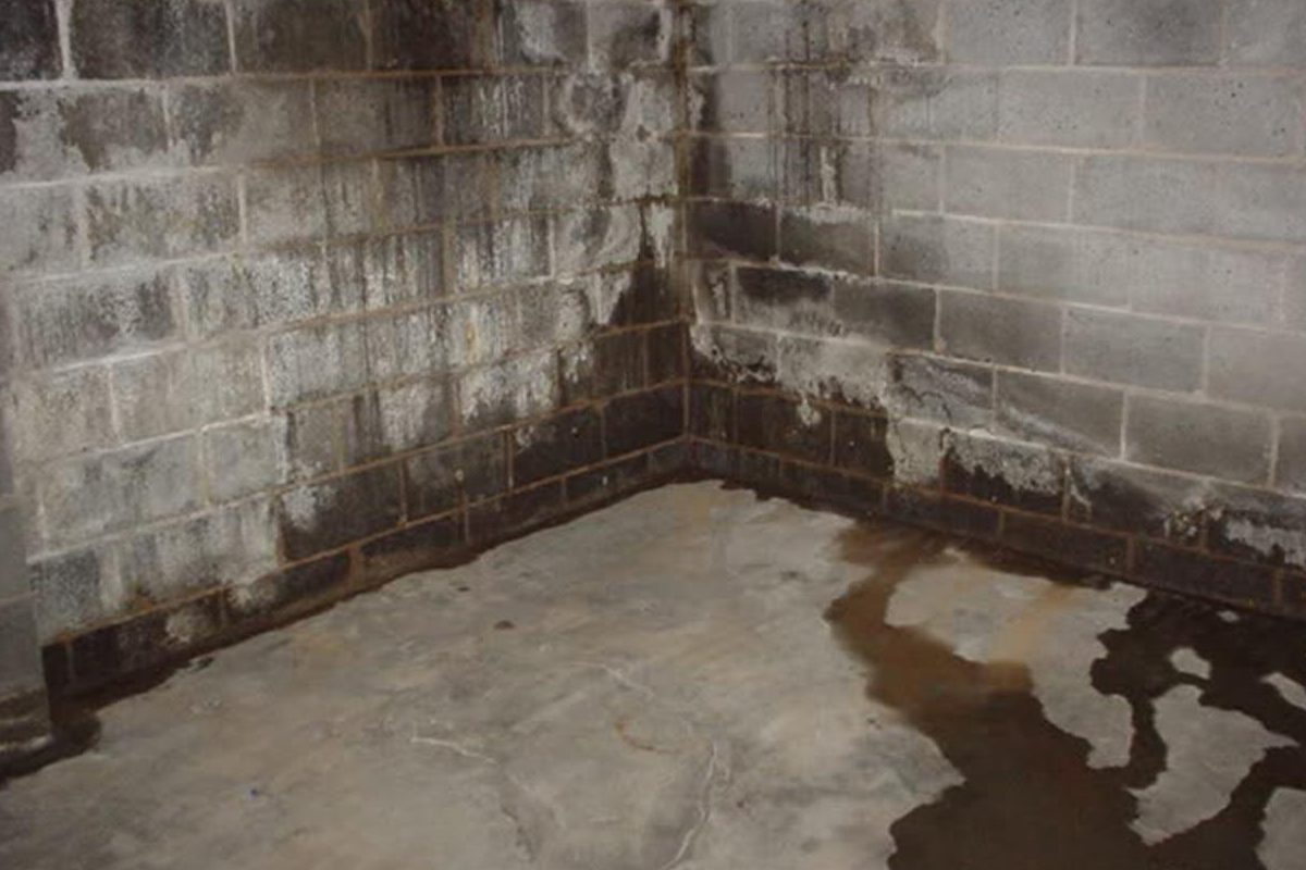 What Do I Do If I Have a Wet Basement?